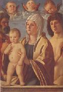 Giovanni Bellini The Virgin and Child Between Peter and Sebastian (mk05) Spain oil painting reproduction